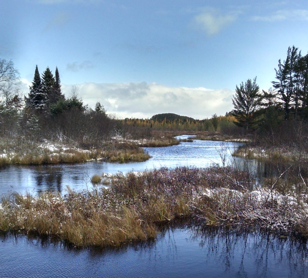 This image has an empty alt attribute; its file name is Meandering-White-Sand-Creek-1024x923.jpg